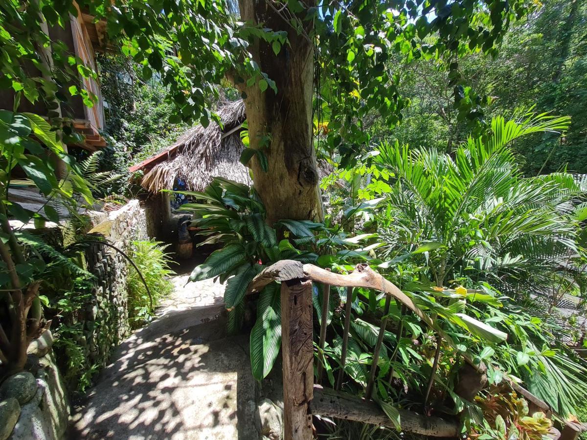 Eco Hostal La Perla Tayrona El Zaino Buitenkant foto