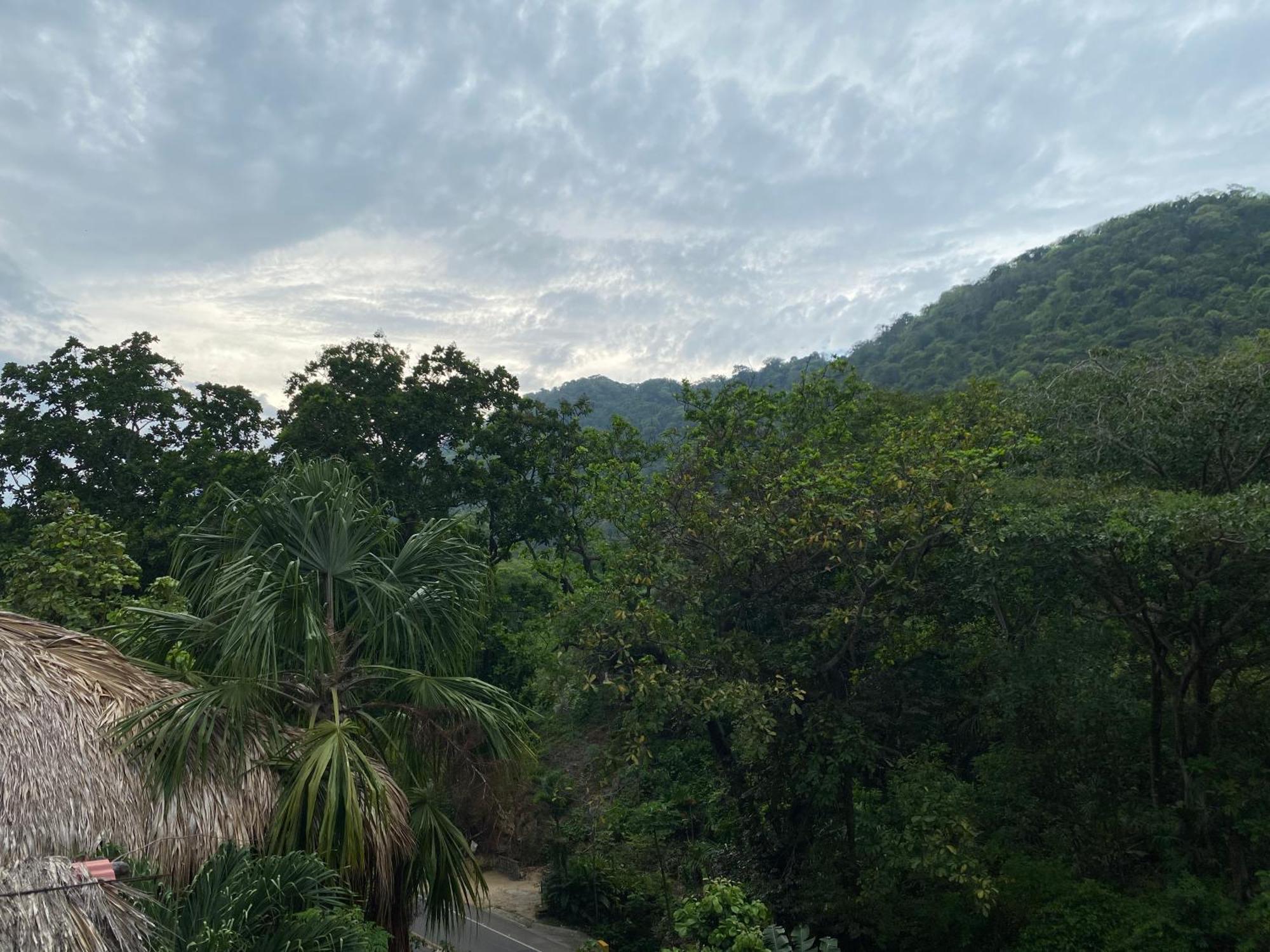 Eco Hostal La Perla Tayrona El Zaino Buitenkant foto