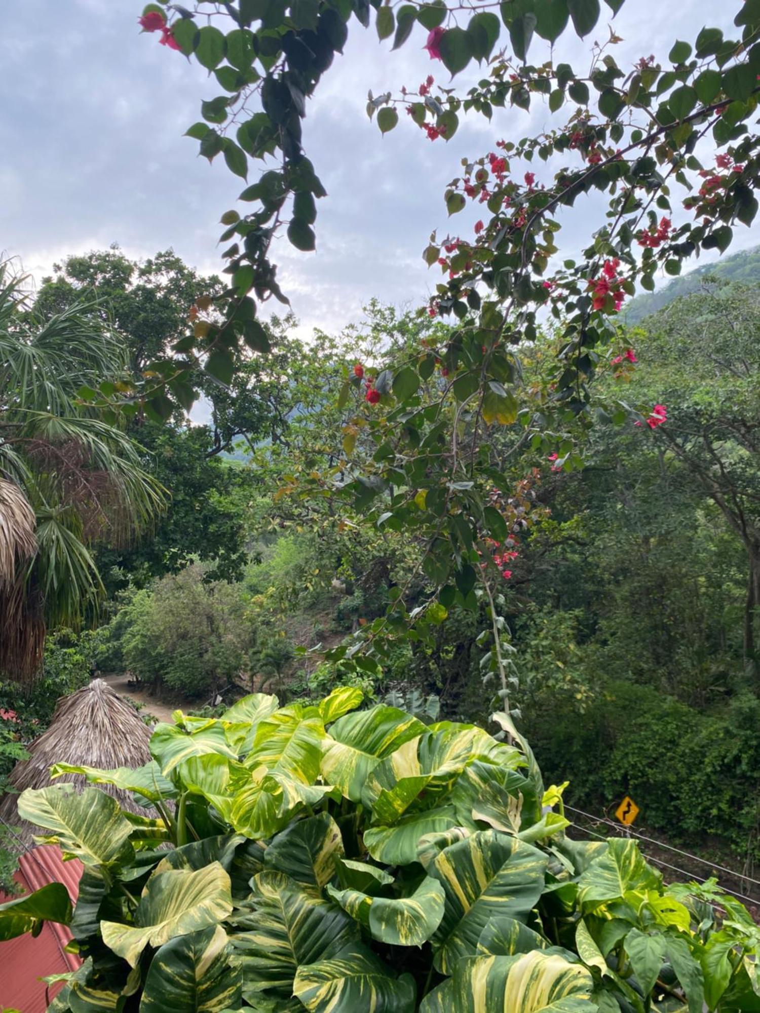 Eco Hostal La Perla Tayrona El Zaino Buitenkant foto